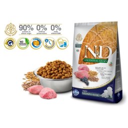 N&D Suva hrana LG Puppy Medium and Maxi Lamb&Blueberry 12 kg