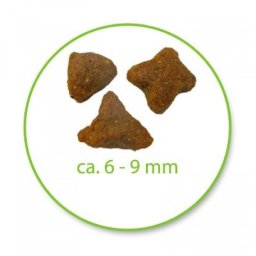 Royal Canin Suva hrana za odrasle mačke Sensible 33 - 2kg + 400g GRATIS