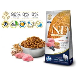 N&D Suva hrana LG Maxi Adult Lamb&Blueberry 12 kg