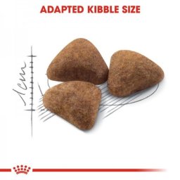 Royal Canin Suva hrana za odrasle mačke Indoor 27 - 2kg + 400g GRATIS