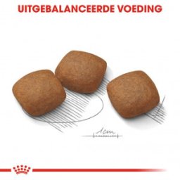 Royal Canin Suva hrana za pse Maxi Joint Care 3kg.