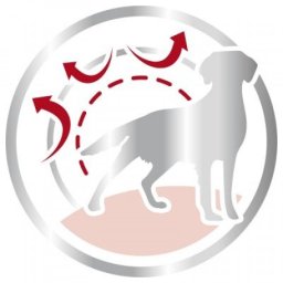 Royal Canin Suva hrana za pse Medium Adult 15kg + 3kg GRATIS