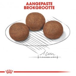 Royal Canin Suva hrana za pse Medium Puppy 15kg + 3kg GRATIS