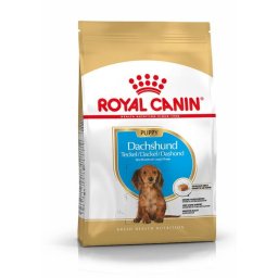 Royal Canin Suva hrana za pse Dachshund Puppy 1.5kg.