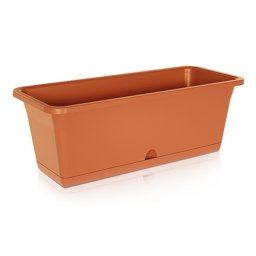 Saksija 50x18x17cm Terakota Camelia Prosperplast PR DCM500-R624
