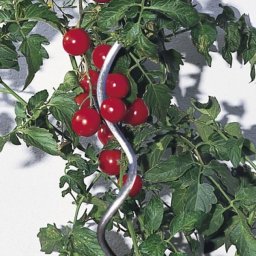 Pritka spiralna za paradajz 180 cm Windhager WH 05645