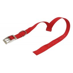 Ogrlica za pse najlon 25*650 crvena