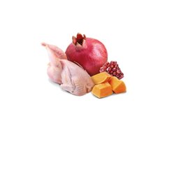 N&D Vlažna hrana konzerva Dog Pumpkin Mini Quail&Pumpkin 140g