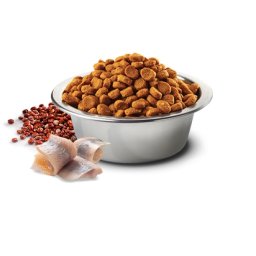 N&D Suva hrana Quinoa Skin&Coat Herring, Coconut-Curcuma 800 g