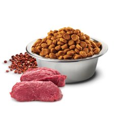 N&D Suva hrana Quinoa Skin&Coat Venison, Coconut-Curcuma 800 g