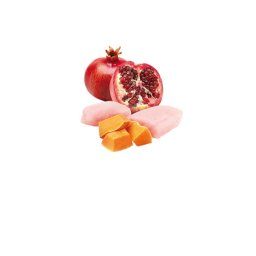N&D Vlažna hrana konzerva Dog Pumpkin Mini Chicken&Pumpkin&Pomegranate 140g