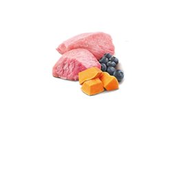 N&D Vlažna hrana konzerva Dog Pumpkin Puppy Mini Lamb&Pumpkin&Blueberry 140g
