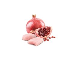 N&D Vlažna hrana konzerva Dog Grain Free Mini Chicken&Pomegranate 140g