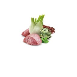 N&D Vlažna hrana konzerva Dog Quinoa Mini Digestion 140g