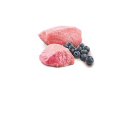 N&D Vlažna hrana konzerva Dog Grain Free Mini Lamb&blueberry 140g