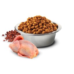 N&D Suva hrana Quinoa Skin&Coat Quail, Coconut-Curcuma 800 g