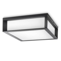 Philips skies plafonska svetiljka antracit 2xmax42w e27 230v, 915002147303, ( 18838 )