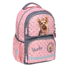 Ranac Belmil 338-36 Glam Yorkie