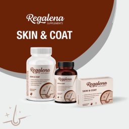 Regalena Skin & Coat - 30 kom