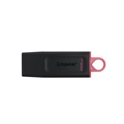 Kingston DTX 256GB