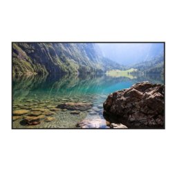 Hisense 55 inča 55WH80F 4K UHD 4000 nita Window Facing - High Brightness Display