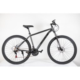 Bicikla 29"/21 maximus grey ( BCK0953 )