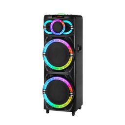 Zvucnik bluetooth ndr-2270 100w 2*12 inca sa dva mikrofona crni ( ZV1138 )