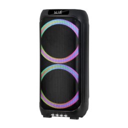 Zvucnik bluetooth ndr-1310 (dsp) 60w 2*10 inca sa dva mikrofona crni ( ZV1316 )
