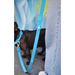 Dashi Colorflex vodootporni povodac za pse – pet boja