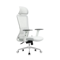 Ergonomska kancelarijska stolica UGD Silver Polare