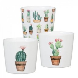 Scheurich Saksija 870/07 cacti, carla, carlos ( SH 61877 )