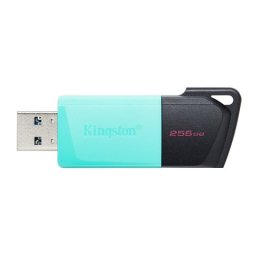 KINGSTON DTXM, 256GB USB FD.256GB