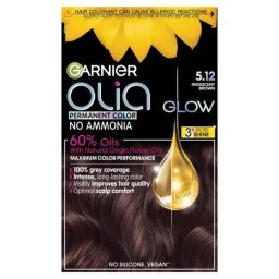 Garnier Olia big kit 5.12 boja za kosu ( 1100050275 )