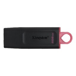 Kingston dtx/256gb usb3.2 Flashdrive 256gb ( 20541 )