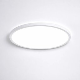 Led plafonjera crna/bela 22W - Bela