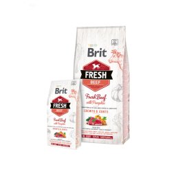 Brit Fresh Dog Beef with Pumpkin Puppy Large 12kg