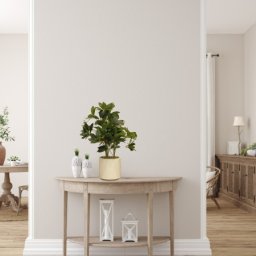 Dekordom Cvet u saksiji schefflera - n58 ( 025187 )