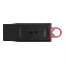 Kingston 256 GB 3.2 Exodia DTX/256GB USB Flash