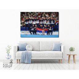 Slika na platnu Vaterpolo Olimpijada 2024 PL088