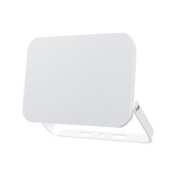 Braytron CCT LED reflektor 50W ( BT60-55080 )