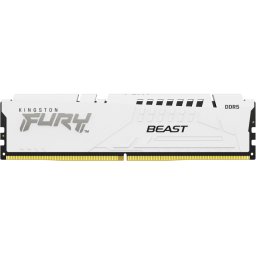 DIMM DDR5 32GB 5600MT/s KF556C36BWE-32 Fury Beast White Expo