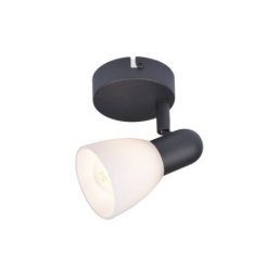 Rabalux Soma Spot rasveta ( 73091 )