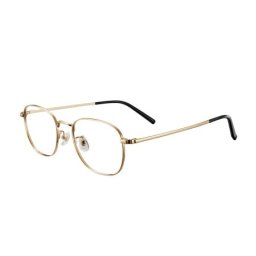 Xiaomi Blue Light Blocking Glasses (Gold)