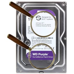 Interni hard disk WD WD10PURZ, 1 TB