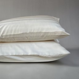 Jastučnica 100% pamučni saten 60x80cm - Clas A2 ( VLK000191-clas2 )