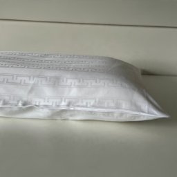 Jastučnica 100% pamučni saten 50x70cm Clas A46 ( VLK000177-clasa46 )
