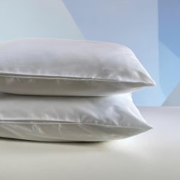 Jastučnica 100% pamučni saten 60x80cm - Clas A15 ( VLK000191-clas15 )