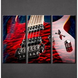 Slika na platnu Električna gitara Nina3040_3