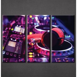 Slika na platnu DJ Nina3036_3