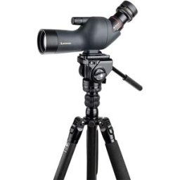 Nikon ED50 Charcoal Grey / 13-40x - Paket